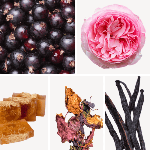 Preview: Duftnoten: schwarze Johannisbeere, Zentifolie, Moschus, Patschuli, Vanille